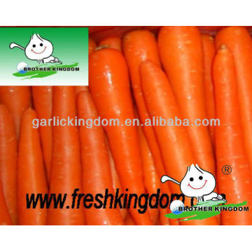 Cheap Carrot In Good Quality,China Fresh Carrot on best seller